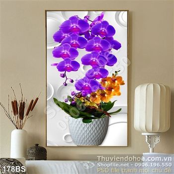 Cây hoa lan tím trang trí ngày tết