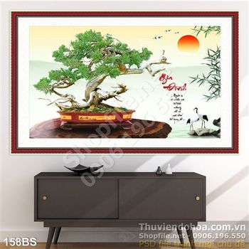 Chậu bonsai cây sung gia đình sum vầy