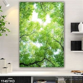 Tranh bầu trời rừng cây trang trí trần nhà