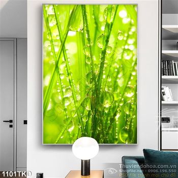 Tranh cây và giọt sương treo tường