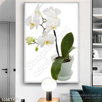 Tranh chậu lan hồ điệp trắng