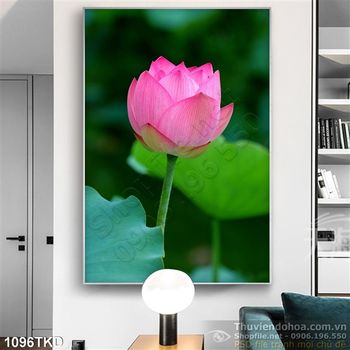 Tranh bông hoa Sen