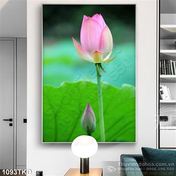 Tranh hoa Sen in kính chất lượng