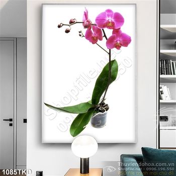 Tranh chậu hoa hồ điệp