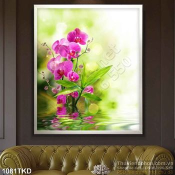 Tranh hoa lan hồ điệp tím