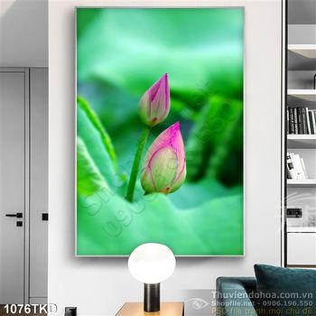 Tranh nụ hoa Sen trang trí treo tường