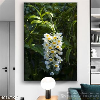 Tran nhành lan rừng