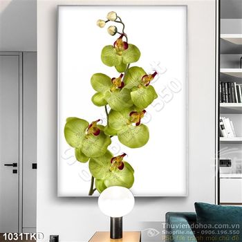 Tranh hoa lan hồ điệp