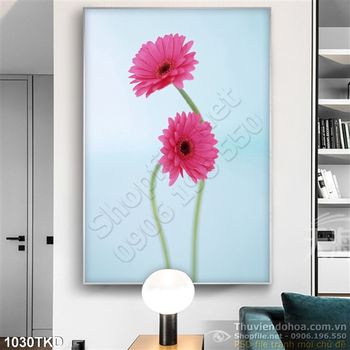 Tranh hoa đồng tiền màu hồng