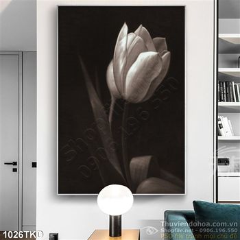 Tranh hoa tulip trắng đen