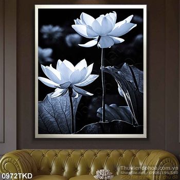 Tranh nhiếp ảnh hoa Sen đen trắng