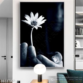 Tranh nhiếp ảnh hoa Cúc trắng đen