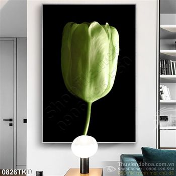 Tranh hoa tulip trắng trang trí phòng khách