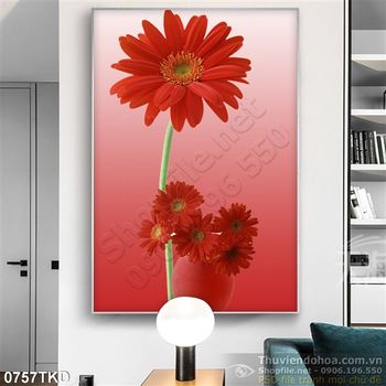 Tranh hoa đồng tiền màu đỏ