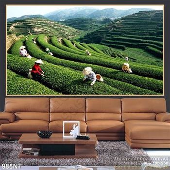 Tranh đồi chè Việt Nam