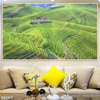Tranh đồi núi ruộng bậc thang Tây Bắc