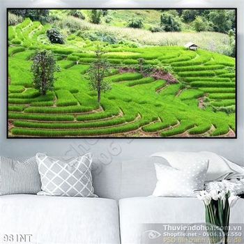 Tranh ruộng thang vùng cao