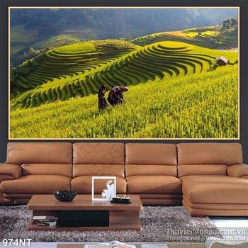 Tranh ruộng lúa bậc thang vùng Tây Bắc