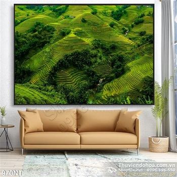 Tranh phong cảnh ruộng bậc thang Tây Bắc
