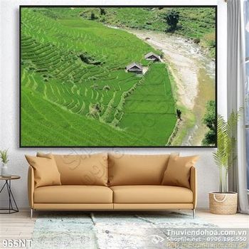 Tranh đồi lúa bậc thang