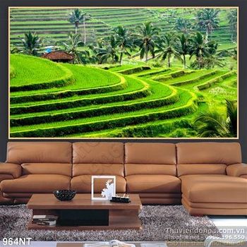 Tranh ruộng lúa vùng cao Tây Bắc