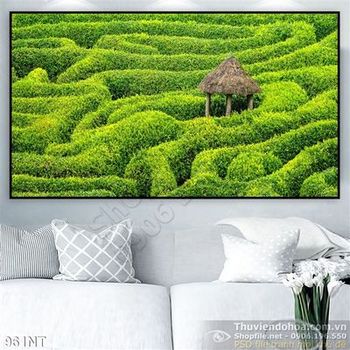 Tranh đồi chè