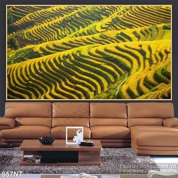 Tranh ruộng bậc thang vàng