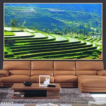 Tranh ruộng bậc thang nghệ thuật