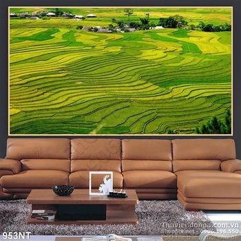 Tranh cánh đồng lúa