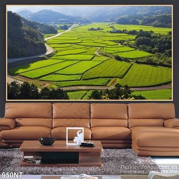 Tranh ruộng lúa làng quê