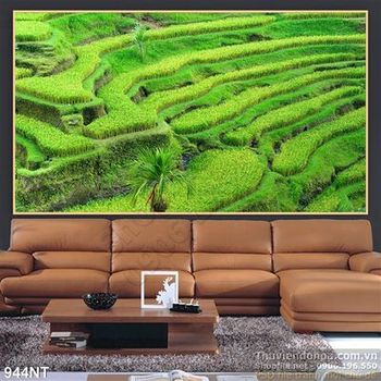 Tranh ruộng lúa Tây Bắc