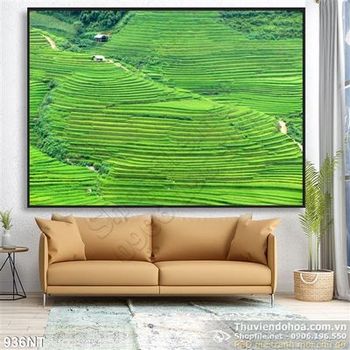 Tranh ruộng Tây Bắc