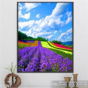 Tranh cánh đồng hoa màu sắc