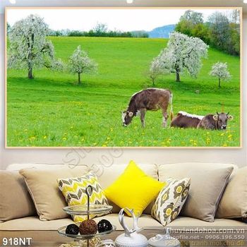 Tran đồng cỏ và đàn bò