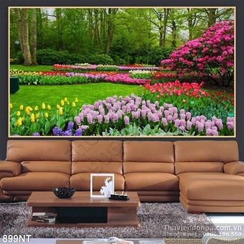 Tranh công viên hoa tulip Hà Lan