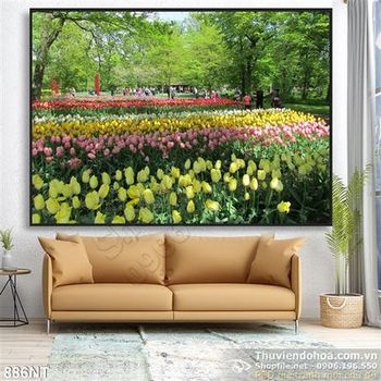 Tranh công viên hoa tulip