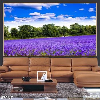 Tranh cánh đồng hoa Lanvender