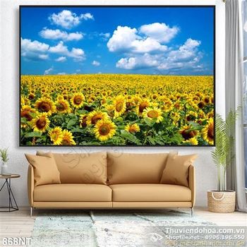 Tranh cánh đồng hoa hướng dương đẹp nhất