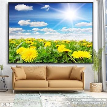 Tranh cánh đồng hoa Cúc