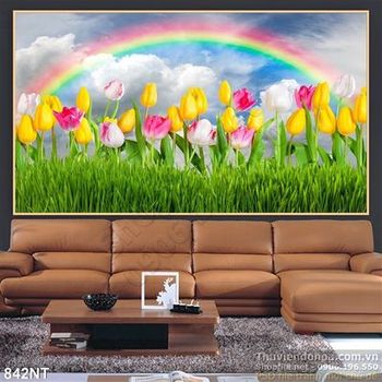 Tranh hoa tulip và cầu vồng