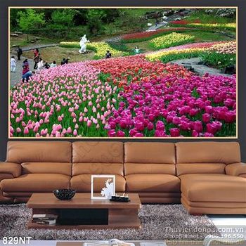 Tranh công viên hoa tulip màu sắc