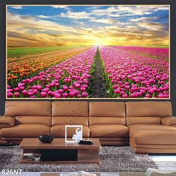 Tranh hoàng hôn trên cánh đồng tulip
