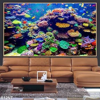 Tranh quần thể san hô in kính chất lượng cao