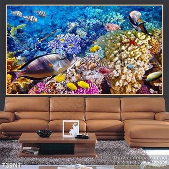 Tranh san hô và cá đại dương