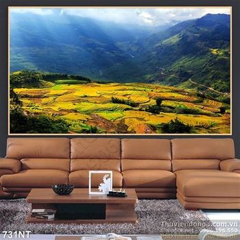 Tranh ruộng Tây Bắc