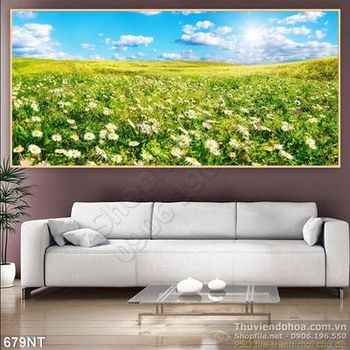 Tranh cánh đồng hoa cúc