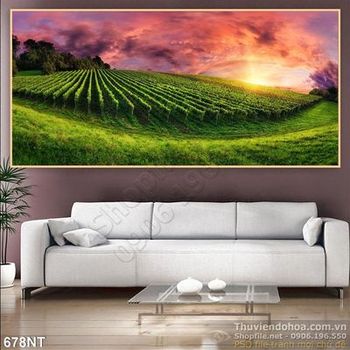 Tranh hoàng hôn trên đồi chè