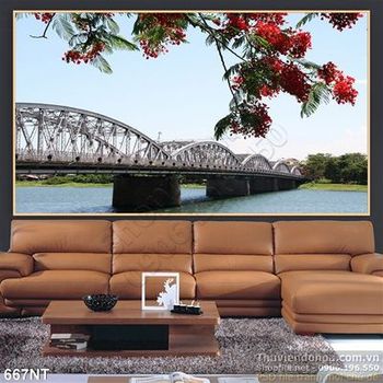 Tranh cầu Tràng Tiền ở Huế