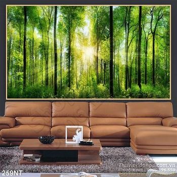 Tranh bình minh trong khu rừng