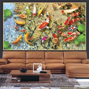 Tranh hoa sen, cá chép quần hội Tranh hoa sen, cá chép quần hội